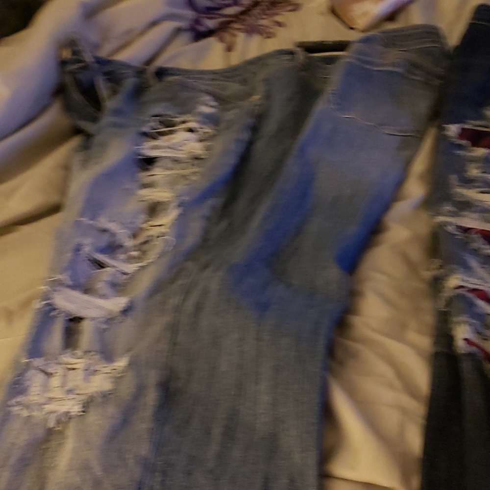 Torrid jeans